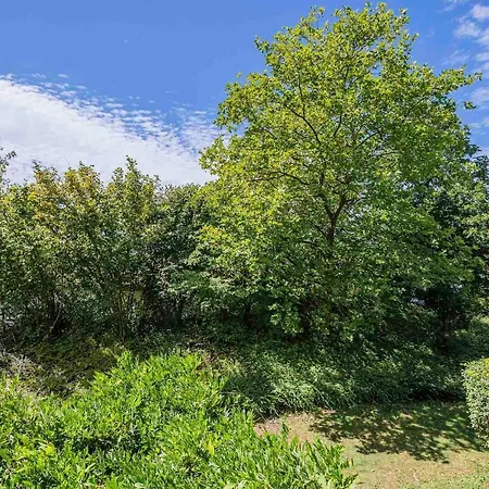 Ferienwohnpark Ein-zimmer-apartment 51 09 Immenstaad am Bodensee